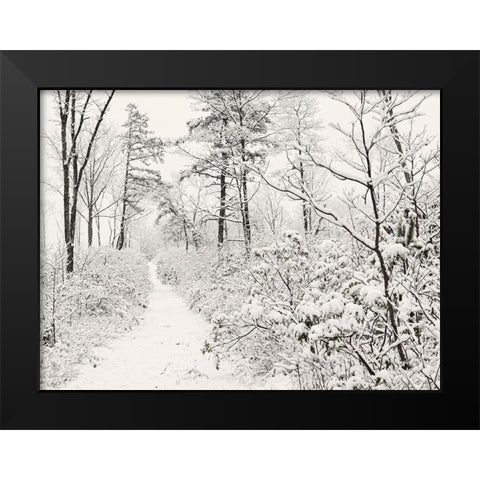 Winter Walk    Black Modern Wood Framed Art Print by Deiter, Lori