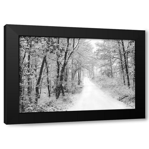 Snowy Lane   Black Modern Wood Framed Art Print by Deiter, Lori