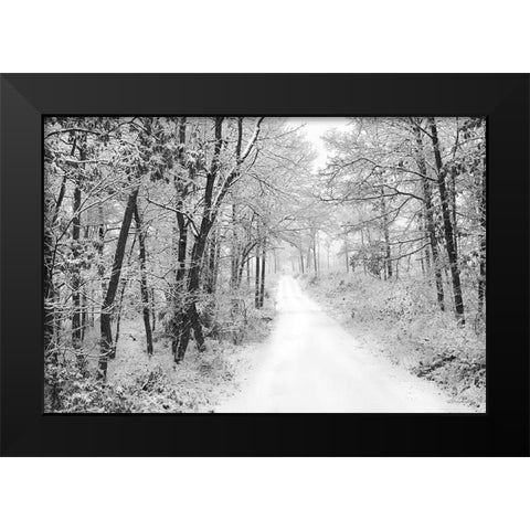 Snowy Lane   Black Modern Wood Framed Art Print by Deiter, Lori