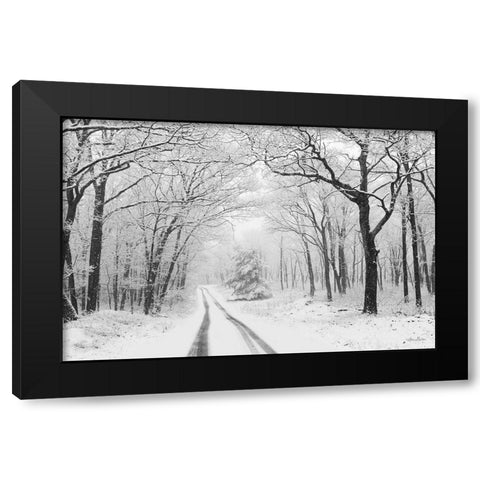 Wintry Road    Black Modern Wood Framed Art Print with Double Matting by Deiter, Lori