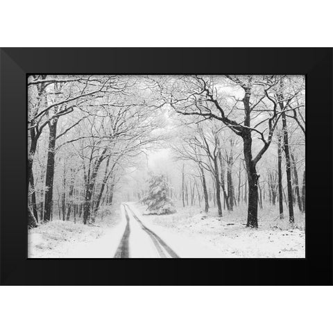 Wintry Road    Black Modern Wood Framed Art Print by Deiter, Lori