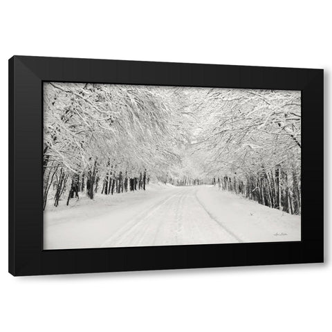 Snowbound Black Modern Wood Framed Art Print with Double Matting by Deiter, Lori