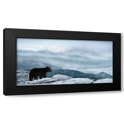 Cascade Mountain Bear Black Modern Wood Framed Art Print with Double Matting by Deiter, Lori