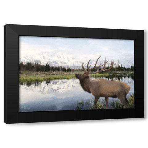 Bull Elk in Tetons Black Modern Wood Framed Art Print by Deiter, Lori