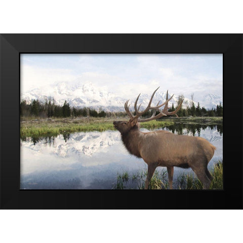 Bull Elk in Tetons Black Modern Wood Framed Art Print by Deiter, Lori