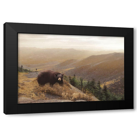 Bear Country Black Modern Wood Framed Art Print by Deiter, Lori