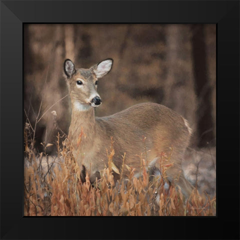 Whitetail Deer Black Modern Wood Framed Art Print by Deiter, Lori