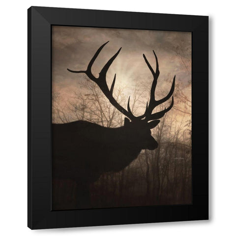 Elk Sunrise I Black Modern Wood Framed Art Print with Double Matting by Deiter, Lori