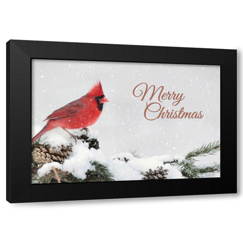 Merry Christmas Cardinal Black Modern Wood Framed Art Print by Deiter, Lori