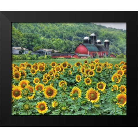 Sunflower Farm Black Modern Wood Framed Art Print by Deiter, Lori