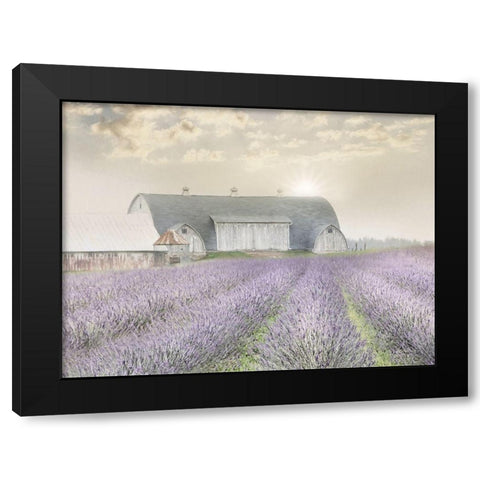 Lavender Morning Black Modern Wood Framed Art Print by Deiter, Lori