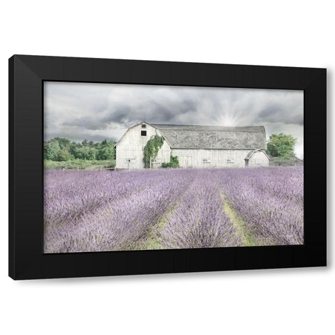 Shades of Lavender and Gray Black Modern Wood Framed Art Print by Deiter, Lori