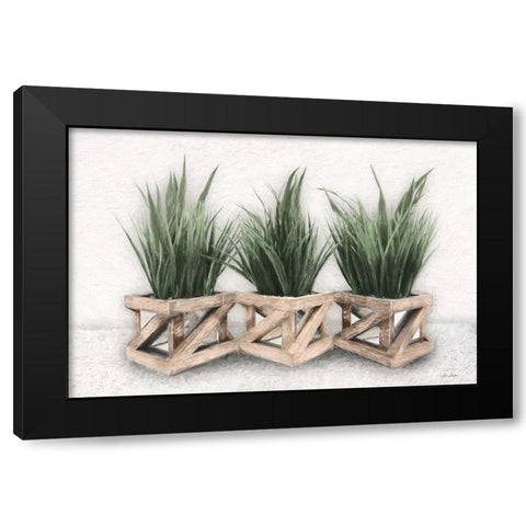 Planter Trio Black Modern Wood Framed Art Print with Double Matting by Deiter, Lori