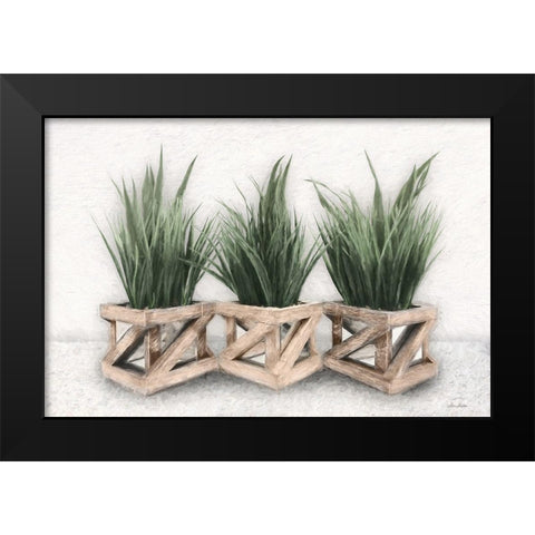 Planter Trio Black Modern Wood Framed Art Print by Deiter, Lori