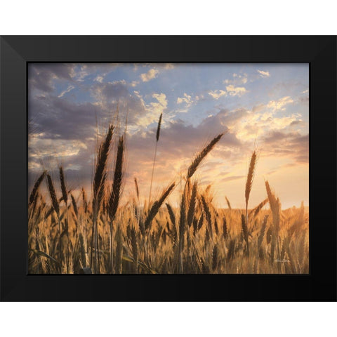Summer Field Black Modern Wood Framed Art Print by Deiter, Lori