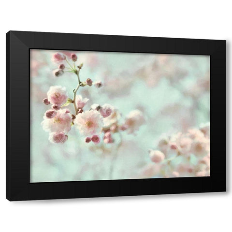 Pastel Weeping Cherry Blossom I Black Modern Wood Framed Art Print by Deiter, Lori