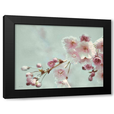 Pastel Weeping Cherry Blossom II Black Modern Wood Framed Art Print with Double Matting by Deiter, Lori
