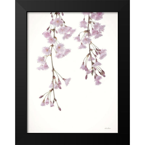 Weeping Cherry on White II Black Modern Wood Framed Art Print by Deiter, Lori