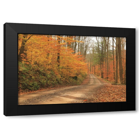 Fall Beauty I   Black Modern Wood Framed Art Print with Double Matting by Deiter, Lori