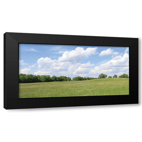 Summer Fields Black Modern Wood Framed Art Print with Double Matting by Deiter, Lori