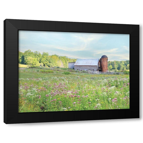 Summer on the Farm Black Modern Wood Framed Art Print with Double Matting by Deiter, Lori