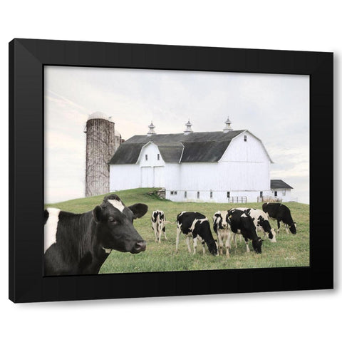Cow Gathering Black Modern Wood Framed Art Print by Deiter, Lori