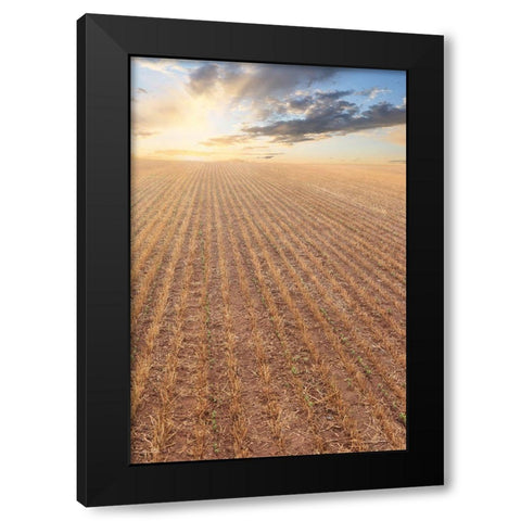 Its a New Day Black Modern Wood Framed Art Print by Deiter, Lori