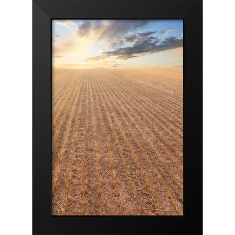 Its a New Day Black Modern Wood Framed Art Print by Deiter, Lori