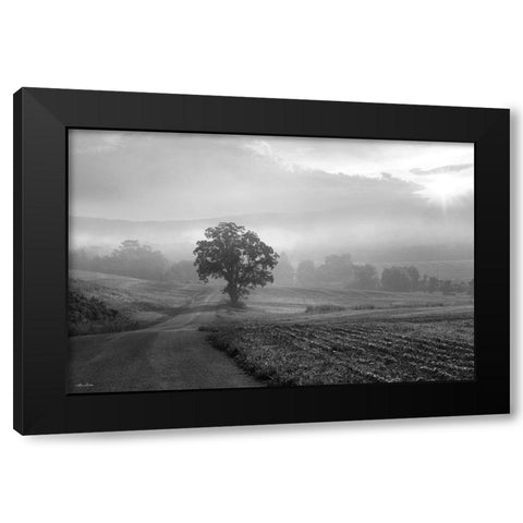 Morning Haze II Black Modern Wood Framed Art Print by Deiter, Lori