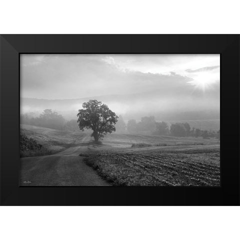 Morning Haze II Black Modern Wood Framed Art Print by Deiter, Lori