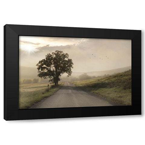Foggy Country Road I Black Modern Wood Framed Art Print by Deiter, Lori