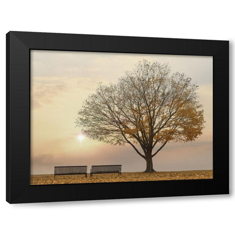 Golden Riverfront Sunrise Black Modern Wood Framed Art Print with Double Matting by Deiter, Lori