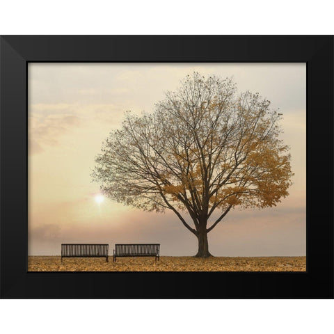 Golden Riverfront Sunrise Black Modern Wood Framed Art Print by Deiter, Lori