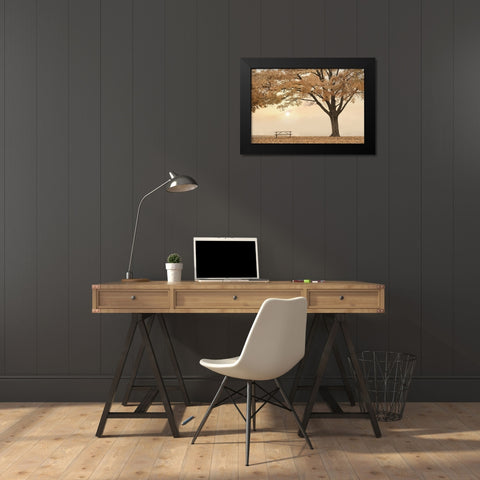 Perfect Picnic Spot Black Modern Wood Framed Art Print by Deiter, Lori