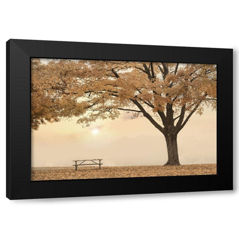 Perfect Picnic Spot Black Modern Wood Framed Art Print with Double Matting by Deiter, Lori