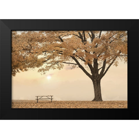 Perfect Picnic Spot Black Modern Wood Framed Art Print by Deiter, Lori