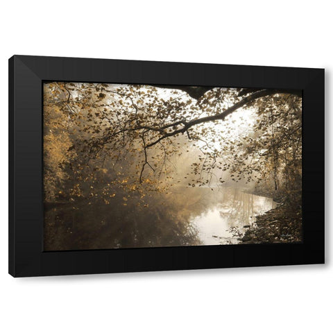 Morning Rays at Swatara Creek Black Modern Wood Framed Art Print by Deiter, Lori