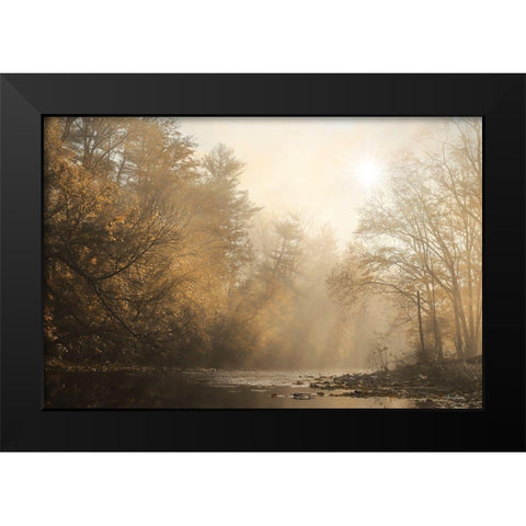 Treasure the Moments Black Modern Wood Framed Art Print by Deiter, Lori
