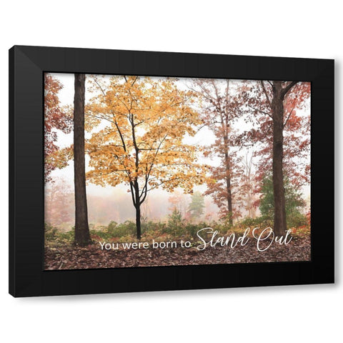 You Were Born to Stand Out Black Modern Wood Framed Art Print with Double Matting by Deiter, Lori
