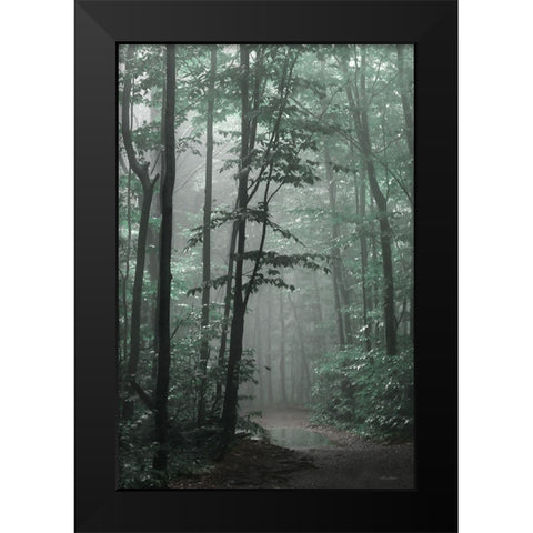 Misty Forest Black Modern Wood Framed Art Print by Deiter, Lori