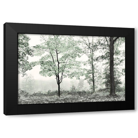 Three Trees Black Modern Wood Framed Art Print by Deiter, Lori
