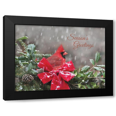 Seasons Greetings Cardinal Black Modern Wood Framed Art Print with Double Matting by Deiter, Lori