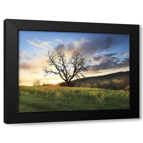 Clark Valley Sunset Black Modern Wood Framed Art Print by Deiter, Lori