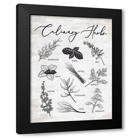 Culinary Herbs Black Modern Wood Framed Art Print with Double Matting by lettered And lined