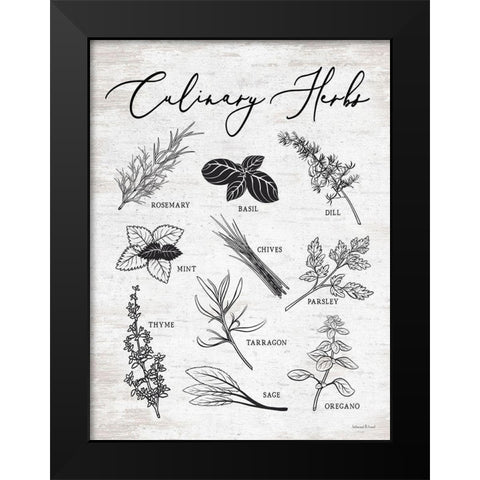 Culinary Herbs Black Modern Wood Framed Art Print by lettered And lined