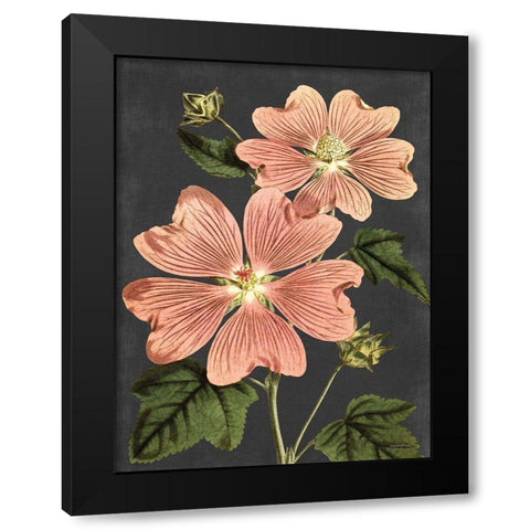 Pink Anemone Black Modern Wood Framed Art Print with Double Matting by Lettered And Lined