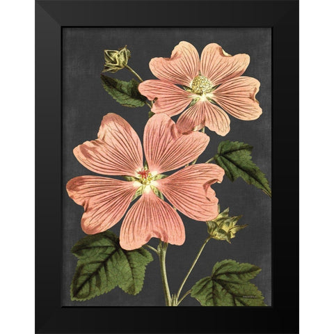 Pink Anemone Black Modern Wood Framed Art Print by Lettered And Lined