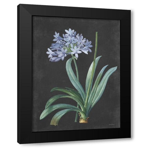 Bulb Study Black Modern Wood Framed Art Print with Double Matting by Lettered And Lined