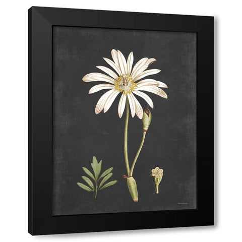 Naturalist Bloom Study Black Modern Wood Framed Art Print with Double Matting by Lettered And Lined
