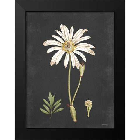 Naturalist Bloom Study Black Modern Wood Framed Art Print by Lettered And Lined